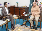 وزیراعظم سے ایم کیوایم وفد کی ملاقات پی پی کے وعدے وفا نہ ہونے کی شکایت