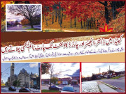 کینیڈا میں ڈاکٹر انجینئر اور چارٹرڈ کاؤٹننٹ تک پارٹ ٹائم ٹیکسی چلاتے ہیں