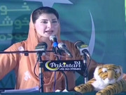 عمران خان نااہل بدکردار اور 75 سالہ تاریخ کا ڈرپوک ترین انسان ہے مریم نواز