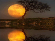 ’’چمتکار‘‘ کیسے ہوگا