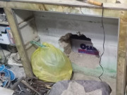 سونے کی دکان میں نقب زنی کا انوکھا واقعہ