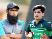 پاک افغان سیریز بیٹنگ کوچ محمد یوسف نے معذرت کیوں کرلی