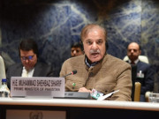 6 ارب ڈالر کا فنانسنگ گیپ حکومت نے جنیوا کانفرنس کے وعدوں پر آس لگا لی