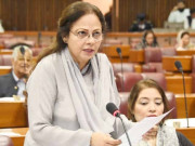 آئی ایم ایف کا پاکستان پرسے اعتماد ختم ہو چکا ہے وزیرمملکت برائے خزانہ