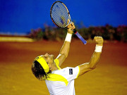 ماسٹر ٹینس ڈیوڈ فیرر کے ہاتھوں نڈال کا قصہ تمام