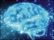 ’انسرٹین زون‘