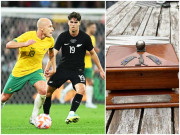 آسٹریلیا کو کھوئی ہوئی فٹبال ایشز ٹرافی 69 برس بعد مل گئی