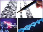 ’ڈارک میٹر‘ ڈی این اے کا پراسرار حصہ