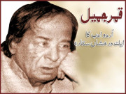 اُردو ادب کا ایک درخشاں ستارہ