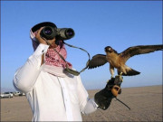 لاہور ہائیکورٹ نے ٹرافی ہنٹنگ سے حاصل رقم سی بی اوز کو دینے سے روک دیا