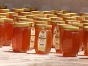 خیبر پختونخوا شہد کی مکھیوں کی افزائش کا سب سے بڑا مرکز بن گیا