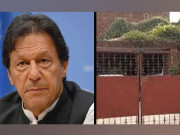 عمران خان نے زمان پارک کی رہائش گاہ پر عائد ٹیکس ادا کردیا