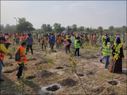 الخدمت نے ’’اسموگ فری لاہور مہم‘‘ کے تحت 15 ہزار پودے لگادیے