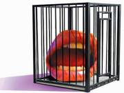 قصور نعمتوں کا نہیں بلکہ ہمارا ہے