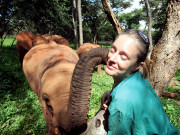 یتیم ہاتھی بچوں کی شفیق ماں