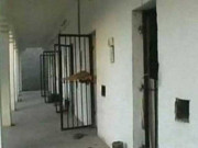 خواتین قیدیوں سے بدسلوکی کا الزام لگانے والوں کیخلاف ایف آئی اے میں درخواست دائر