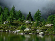 حکومت پنجاب کا صوبے میں مزید 7 نیشنل پارکس بنانے کا اعلان