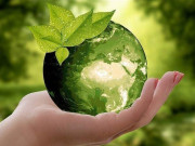 میڈیا ماحولیاتی مسائل سے نمٹنے کیلیے قومی رجحان پیدا کرنے میں ناکام ہے ماحولیاتی ماہرین