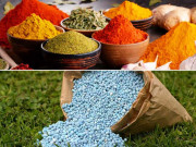 مصالحہ جات کی برآمدات میں اضافہ کھادوں کی کھپت میں کمی