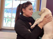 سینٹری ورکر کو کتوں کی نس بندی کا انجیکشن لگانے کا الزام انیلہ عمیر کی قبل از گرفتاری ضمانت منظور