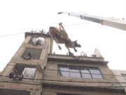 کراچی میں چھت پر پالے گئے جانوروں کو کرین کی مدد سے نیچے اتار دیا گیا