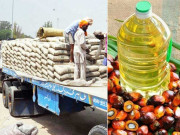 پام آئل کی درآمدات میں اضافہ سیمنٹ کی قیمتوں میں مجموعی استحکام