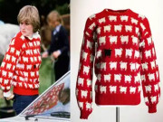 لیڈی ڈیانا کا کالی بھیڑ کی تصویر والا سوئٹر 90 ہزار ڈالر میں نیلام ہونے کا امکان