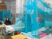 ایک ارب 21 کروڑ بجٹ کے باوجود سندھ حکومت ملیریا پر قابو پانے میں ناکام