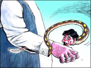 آستین کے سانپ