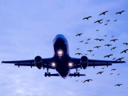 پاکستانی فضاؤں میں خطرات 26 ہزار فٹ سے اوپر پرواز کریں ایاسا