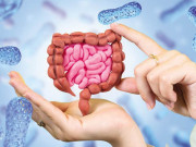 انسان کو تندرست رکھنے والے جراثیم