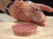 2050 تک مصنوعی گوشت کی طلب 40 فیصد تک پہنچ جائے گی ماہرین