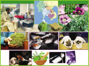 پاکستان نشے کی لعنت میں کیسے ڈوبا