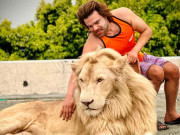 وائلڈلائف حکام کا ٹک ٹاکر کے گھر پر چھاپہ افریقی شیرتحویل میں لے لیا