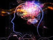 ذہین افراد کی پہچان کیا ہے؟