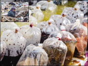 پلاسٹک سے سنگین بیماریاں لاحق ہونے کا خطرہ