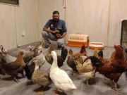 لاہورمیں انسدادِ تشدد جانور ایکٹ کے تحت پہلی ایف آئی آر درج