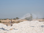 ملک میں کپاس کی پیداوار میں 71 فیصد اضافہ