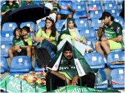 پی سی بی پاکستانی شائقین اور صحافیوں کیلیے بھارتی ویزوں میں تاخیر پر مایوس