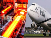 پی آئی اے پرائیویٹائزیشن جلد اسٹیل ملز پاور کمپنیوں کی نجکاری موخر