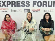 کم معاوضہ جبری مشقت تعلیم و بنیادی سہولت ندارد دیہی خواتین کا تہرا استحصال ایکسپریس فورم