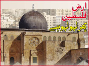 ارض فلسطین پھر لہو لہو ہے۔۔۔