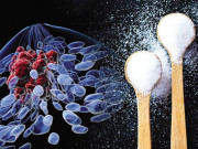 کیا چینی کینسر پیدا کر سکتی ہے