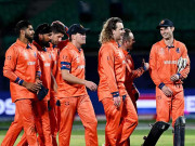 ورلڈکپ نیدرلینڈز فیلڈنگ میں سب سے بہتر پاکستان کا پانچواں نمبر