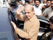 آشیانہ اقبال ریفرنس میں شہباز شریف کی درخواستِ بریت  پر فیصلہ محفوظ