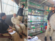 کراچی میں ریٹائرڈ ڈی آئی جی کے گھر سے 20 لاکھ روپے کے طوطے چوری