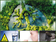 انسانی جسم کے دلچسپ اور حیران کن حقائق