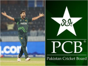 حارث رؤف کیخلاف کوئی انتقامی کارروائی نہیں ہوگی بورڈ کا دو ٹوک اعلان