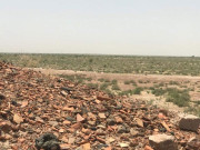 چولستان کے صحرا میں مدفون 5 ہزار سال پرانے شہرکیلیے کھدائی کا فیصلہ