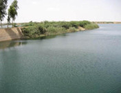 ٹھٹھہ کینجھر جھیل کے قریب ٹریفک حادثہ بچے سمیت 3 افراد ہلاک  